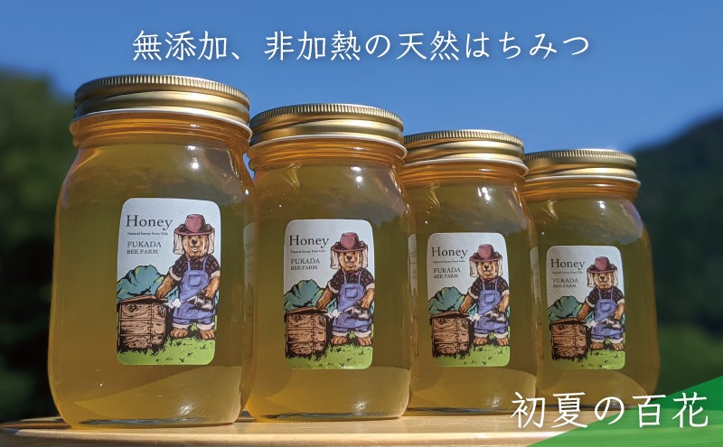 合計2400g 天然蜂蜜 国産蜂蜜 非加熱 生はちみつ 岐阜県 美濃市産 初夏 (蜂蜜600g入りガラス瓶4本)B8 深田養蜂のハチミツ