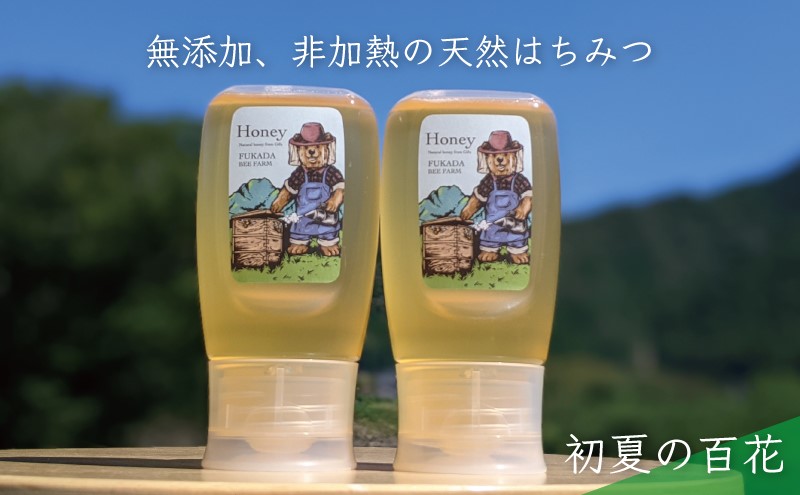 合計600g 天然蜂蜜 国産蜂蜜 非加熱 生はちみつ 岐阜県 美濃市産 初夏 (蜂蜜300g入りピタッとボトル2本セット)B10 深田養蜂のハチミツ