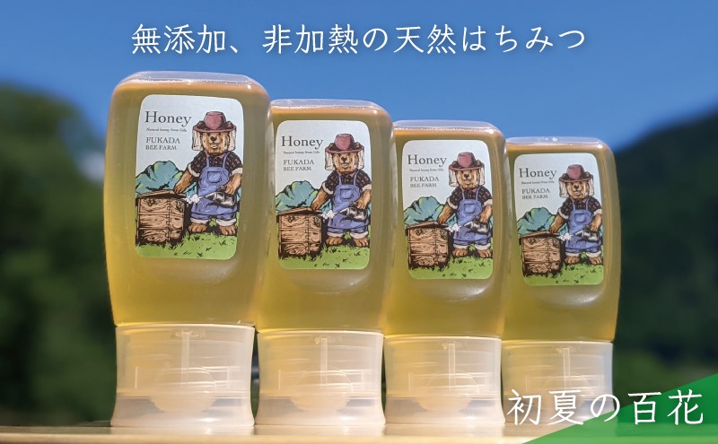 合計1200g 天然蜂蜜 国産蜂蜜 非加熱 生はちみつ 岐阜県 美濃市産 初夏 (蜂蜜300g入りピタッとボトル4本セット)B12 深田養蜂のハチミツ