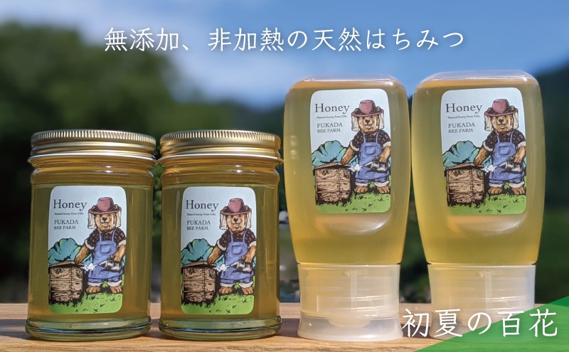 合計1060g 天然蜂蜜 国産蜂蜜 非加熱 生はちみつ 岐阜県 美濃市産 初夏 (蜂蜜230g入りガラス瓶2本、蜂蜜300g入りピタッとボトル2本のセット)B14 深田養蜂のハチミツ
