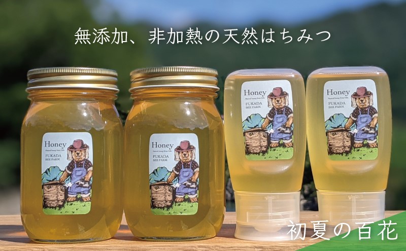 合計1800g 天然蜂蜜 国産蜂蜜 非加熱 生はちみつ 岐阜県 美濃市産 初夏 (蜂蜜600g入りガラス瓶2本、蜂蜜300g入りピタッとボトル2本のセット)B16 深田養蜂のハチミツ