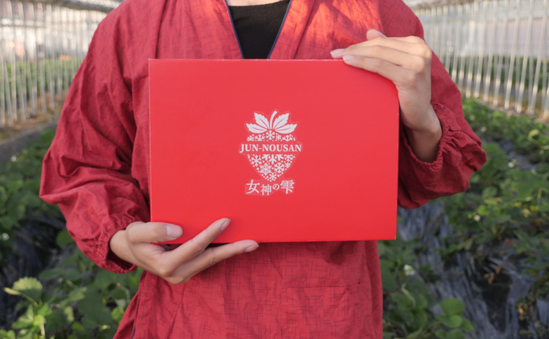 「今までで1番うまい」とうなったイチゴ【女神の雫】 2026年1月 2月 3月 4月 450g 岐阜県 美濃市 じゅん農産 1 苺