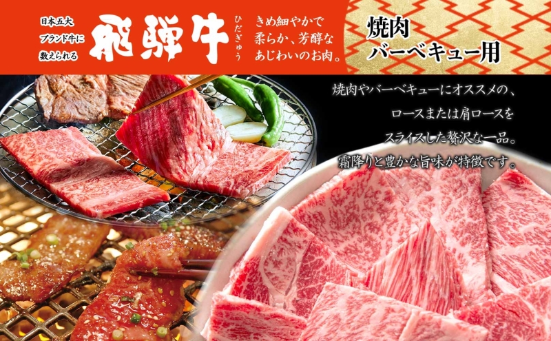 飛騨牛 ロースor肩ロース 焼き肉・BBQ用 計600g ロース肉 ロース 肩ロース肉 肩ロース 肉 お肉 牛 牛肉 和牛 国産牛 国産 日本産 BBQ 焼肉 焼き肉 冷凍保存 小分け イベント 一人暮らし お取り寄せグルメ ご当地 岐阜県 美濃市