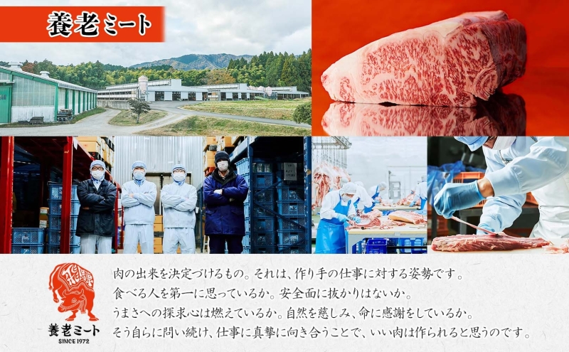 飛騨牛 モモブロック 300g×3P モモ肉 もも肉 ブロック ブロック肉 ももブロック 肉 牛肉 牛 ビーフ 和牛 和牛ステーキ 国産 国産肉 日本産 ローストビーフ ステーキ 冷凍保存 ご当地 お取り寄せグルメ 送料無料 岐阜県美濃市