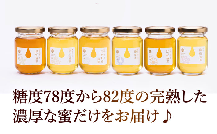 東美濃厳選 季節のはちみつ 味わい極ギフト 120g×6本 瑞浪市 / 堀養蜂園 おまかせ 蜂蜜 国産 [AZCF003]