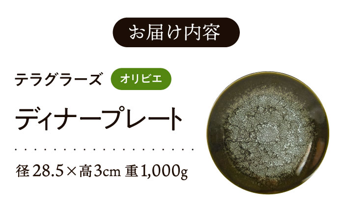 【美濃焼】 テラグラーズ ディナープレート オリビエ 1客 瑞浪市 / アワサカ 食器 皿 プレート [AZAD013]
