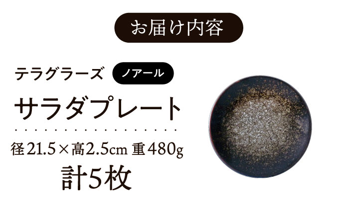 【美濃焼】 テラグラーズ サラダプレート ノアール 5客揃 瑞浪市 / アワサカ 食器 皿 プレート [AZAD023]