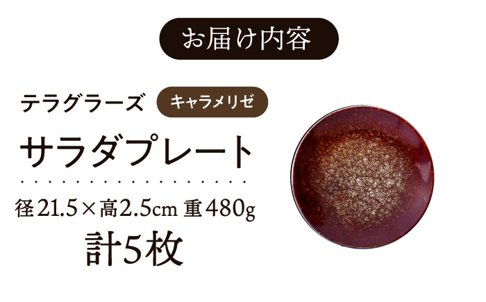 【美濃焼】 テラグラーズ サラダプレート キャラメリゼ 5客揃 瑞浪市 / アワサカ 食器 皿 プレート [AZAD024]