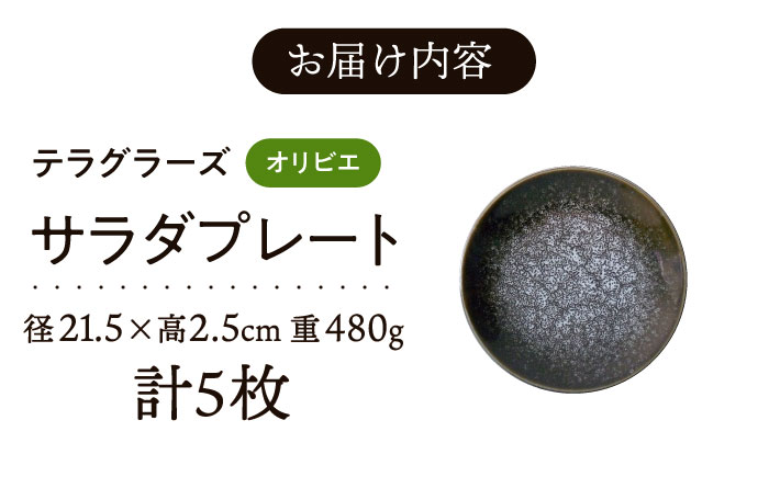 【美濃焼】 テラグラーズ サラダプレート オリビエ 5客揃 瑞浪市 / アワサカ 食器 皿 プレート [AZAD025]