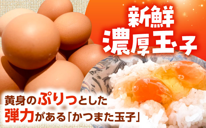 かつまた玉子 中玉パック 30個 (25個+割れ保証5個) 瑞浪市 / かつまた玉子 卵 たまご タマゴ 鶏卵 [AZAQ001]