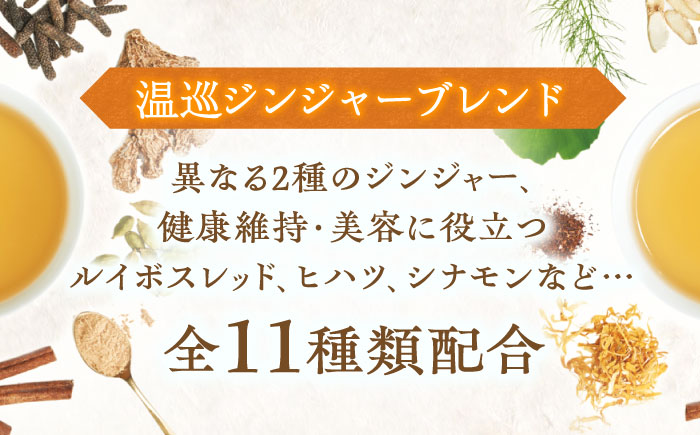 【12回定期便】 私の30日茶 温巡ジンジャーブレンド 90個入(90日分) 瑞浪市 / 生活の木 瑞浪ファクトリー直送 ブレンドティー お茶 [AZBE063]