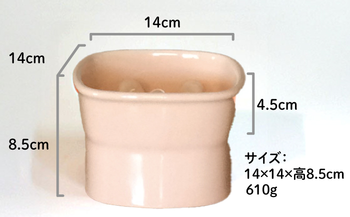 【美濃焼】 陶器製ペット用フードボウル 早食い防止 高台フードボウル 中 ピーチ pet110 瑞浪市 / ながしまプランニングオフィス エサ入れ 餌皿 犬 猫 [AZBM025] ピーチ