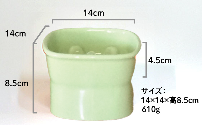 【美濃焼】 陶器製ペット用フードボウル 早食い防止 高台フードボウル 中 アップルグリーン pet110 瑞浪市 / ながしまプランニングオフィス エサ入れ 餌皿 犬 猫 [AZBM026] アップルグリーン