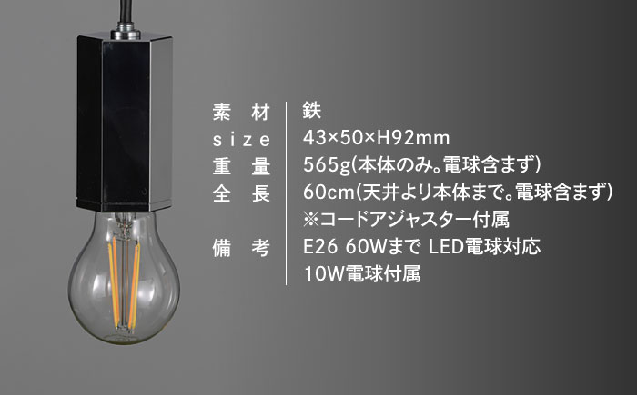 CTSH LIGHT. ペンダントライト＜HEXAGON クロム E26＞ 瑞浪市 / ジオニック 照明器具 ソケット 鉄 シルバー [AZBQ088]