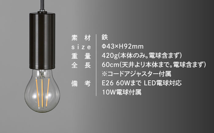 CTSH LIGHT. ペンダントライト＜CIRCLE ブラッククロム E26＞ 瑞浪市 / ジオニック 照明器具 ソケット 鉄 ブラック [AZBQ090]