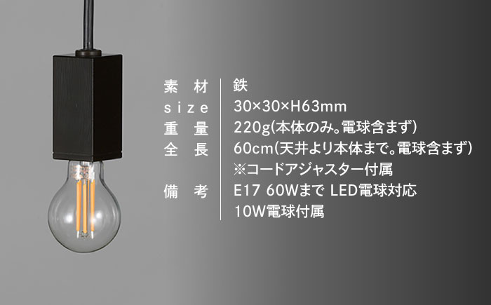 CTSH LIGHT. ペンダントライト＜SQUARE ブラッククロム E17＞ 瑞浪市 / ジオニック 照明器具 ソケット 鉄 ブラック [AZBQ091]