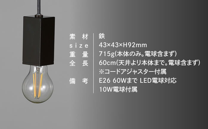 CTSH LIGHT. ペンダントライト＜SQUARE ブラッククロム E26＞ 瑞浪市 / ジオニック 照明器具 ソケット 鉄 ブラック [AZBQ092]