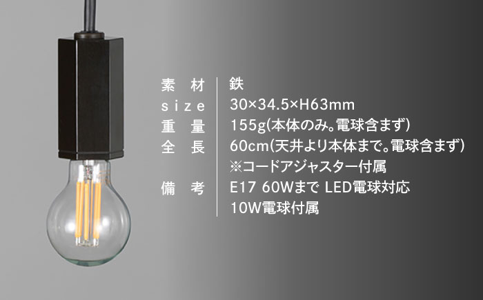 CTSH LIGHT. ペンダントライト＜HEXAGON ブラッククロム E17＞ 瑞浪市 / ジオニック 照明器具 ソケット 鉄 ブラック [AZBQ093]