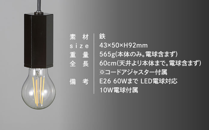 CTSH LIGHT. ペンダントライト＜HEXAGON ブラッククロム E26＞ 瑞浪市 / ジオニック 照明器具 ソケット 鉄 ブラック [AZBQ094]