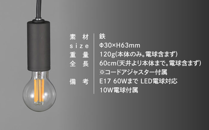 CTSH LIGHT. ペンダントライト＜CIRCLE パーカーライジング E17＞ 瑞浪市 / ジオニック 照明器具 ソケット 鉄 ブラック [AZBQ095]