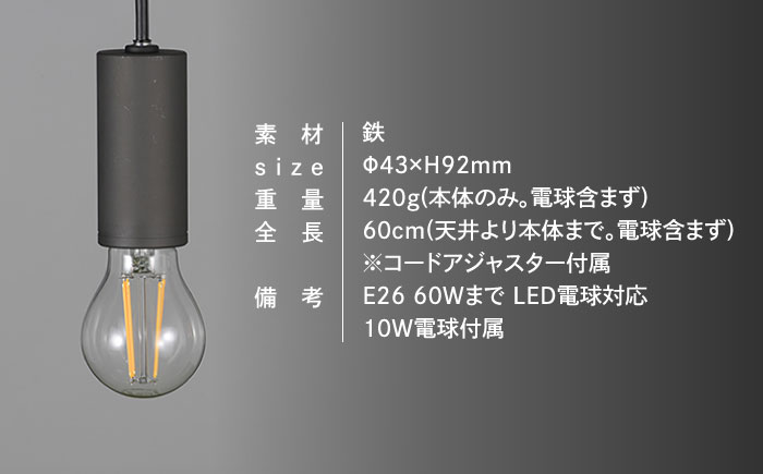 CTSH LIGHT. ペンダントライト＜CIRCLE パーカーライジング E26＞ 瑞浪市 / ジオニック 照明器具 ソケット 鉄 ブラック [AZBQ096]