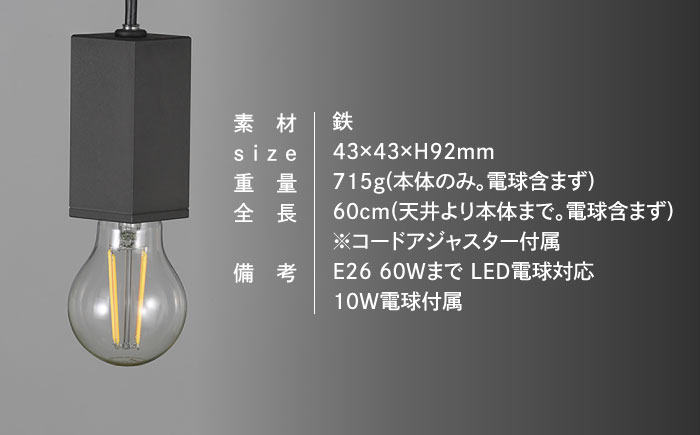 CTSH LIGHT. ペンダントライト＜SQUARE パーカーライジング E26＞ 瑞浪市 / ジオニック 照明器具 ソケット 鉄 ブラック [AZBQ098]