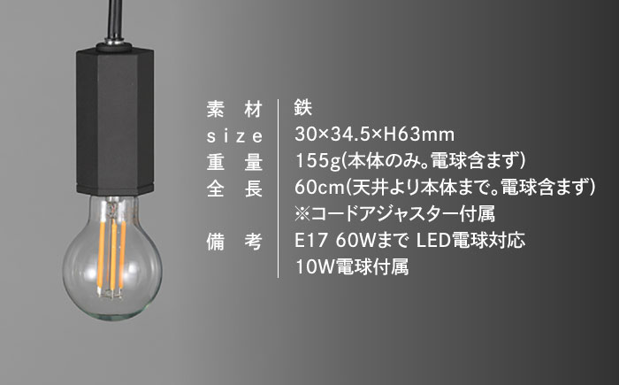 CTSH LIGHT. ペンダントライト＜HEXAGONパーカーライジング E17＞ 瑞浪市 / ジオニック 照明器具 ソケット 鉄 ブラック [AZBQ099]