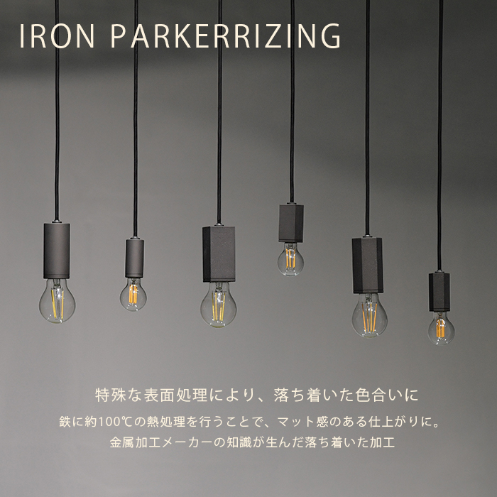 CTSH LIGHT. ペンダントライト＜HEXAGONパーカーライジング E26＞ 瑞浪市 / ジオニック 照明器具 ソケット 鉄 ブラック [AZBQ100]