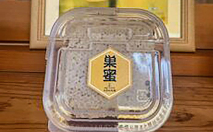 【12/22までの決済で年内発送】純粋ハチミツ 巣蜜（コムハニー） 瑞浪市 / honey shop Bee farm asano 蜂蜜 はちみつ [AZBT017]