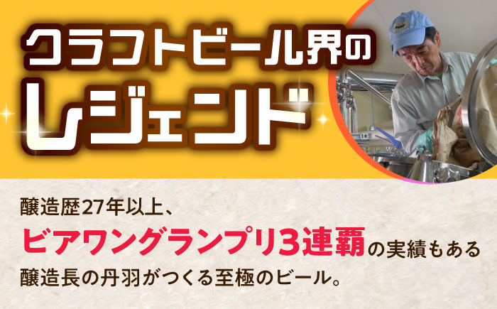 【12/22までの決済で年内発送】パーティセット クラフトビール 12本 瑞浪市 / カマドブリュワリー 飲み比べ 詰め合わせ 瓶 [AZBV007]