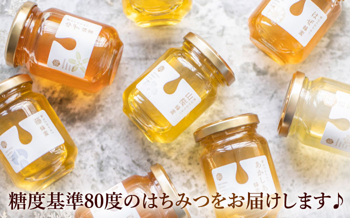 東美濃厳選 季節のはちみつ 味わいギフト 120g×3本 瑞浪市 / 堀養蜂園 おまかせ 蜂蜜 国産 [AZCF002]
