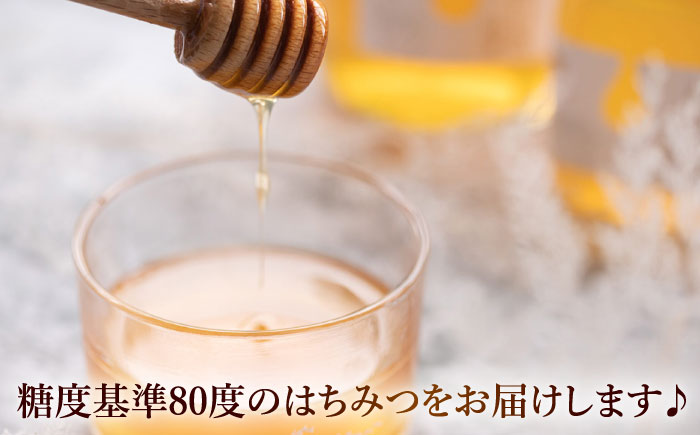 はちみつ そよご蜜 × ハニーポット (黄) ビギナーズセット 瑞浪市 / 堀養蜂園 蜂蜜 国産 陶磁器 [AZCF006]