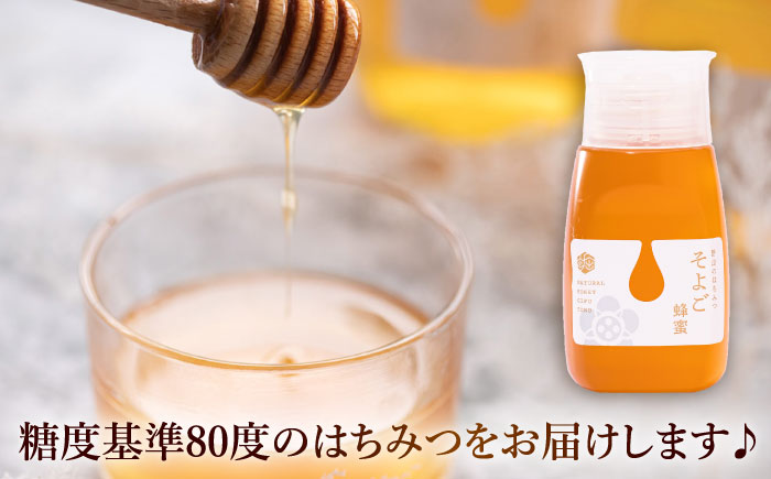 【3回定期便】 自慢のそよご蜜 300g 瑞浪市 / 堀養蜂園 はちみつ 蜂蜜 国産 [AZCF010]
