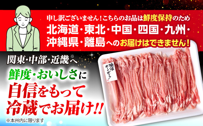 【12/14までの決済で年内発送】※冷蔵配送/地域限定※ 岐阜県産 豚 瑞浪ボーノポーク しゃぶしゃぶ 1kg まんぷくセット 瑞浪市 / きなぁた瑞浪 [AZCI019]