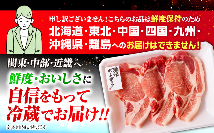 ※冷蔵配送/地域限定※ 岐阜県産 豚 瑞浪ボーノポーク ステーキ 1kg 食べ比べセット (リブロース・ロース・肩ロース) 瑞浪市 / きなぁた瑞浪 [AZCI023]