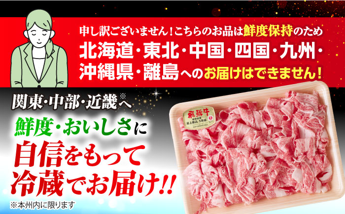 ※冷蔵配送/地域限定※ 飛騨牛 小間切 (大) 500g×2セット 瑞浪市 / きなぁた瑞浪 和牛 国産 岐阜県産 [AZCI027]