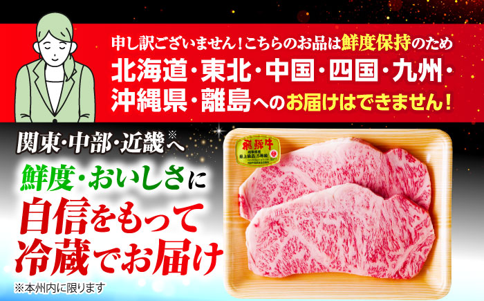 ※冷蔵配送/地域限定※ 飛騨牛 サーロインステーキ 240g×2枚 瑞浪市 / きなぁた瑞浪 和牛 国産 岐阜県産 [AZCI034]