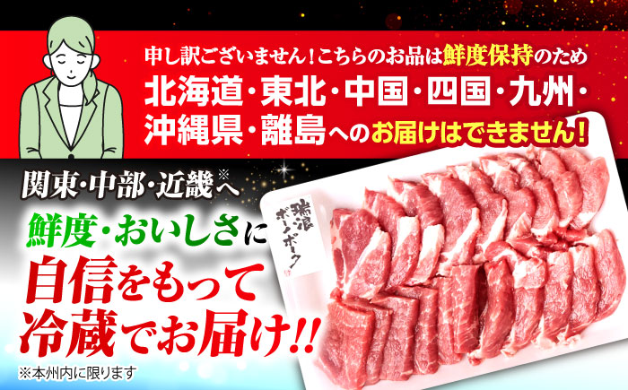 ※冷蔵配送/地域限定※ 飛騨牛 ボーノポーク 焼肉セット 合計1kg 瑞浪市 / きなぁた瑞浪 和牛 国産 岐阜県産 [AZCI035]