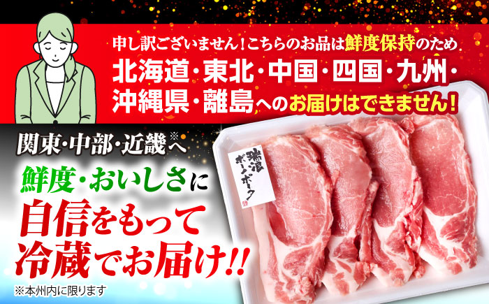 【6回定期便】※冷蔵配送/地域限定※ 岐阜県産 豚 瑞浪ボーノポーク まんぷく 5種盛り 1.7kg (ロースしゃぶしゃぶ・肩ロース焼肉・バラスライス・小間切・ローステキカツ) 瑞浪市 / きなぁた瑞浪 [AZCI039]