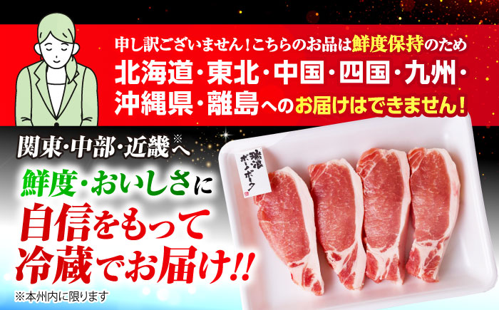 【6回定期便】 ※冷蔵配送/地域限定※ 岐阜県産 豚 瑞浪ボーノポーク ロースステーキ 1kg まんぷくセット 瑞浪市 / きなぁた瑞浪 [AZCI063]