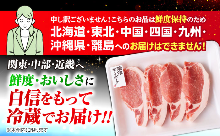【12回定期便】 ※冷蔵配送/地域限定※ 岐阜県産 豚 瑞浪ボーノポーク ロース 1kg ステーキ 生姜焼き 焼肉 瑞浪市 / きなぁた瑞浪 [AZCI067]