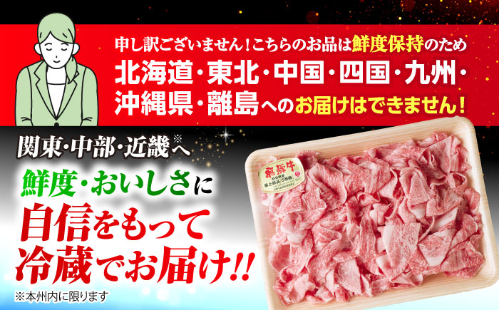 【12回定期便】 ※冷蔵配送/地域限定※ 飛騨牛 小間切 450g 瑞浪市 / きなぁた瑞浪 和牛 国産 岐阜県産 [AZCI070]