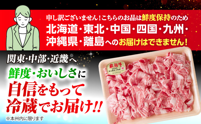 【12回定期便】 ※冷蔵配送/地域限定※ 飛騨牛 小間切 (大) 500g×2セット 瑞浪市 / きなぁた瑞浪 和牛 国産 岐阜県産 [AZCI073]