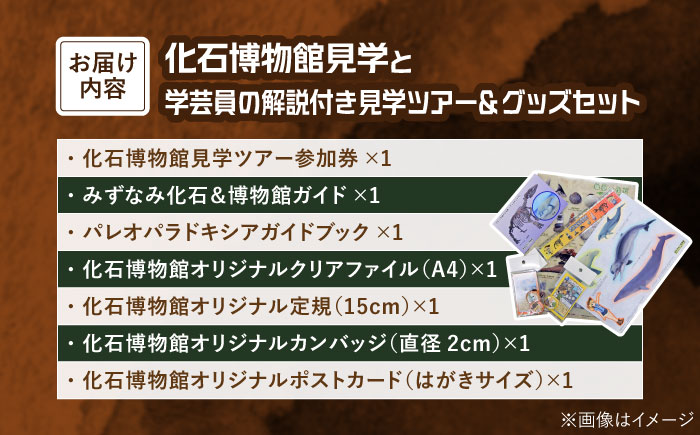 瑞浪市化石博物館 パレオパラドキシアコーナー 学芸員の解説付き見学ツアー(1名様) ＆ グッズセット 瑞浪市 [AZCJ001]