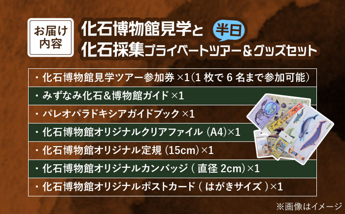 瑞浪市化石博物館 見学と化石採集プライベートツアー（半日）＆ グッズセット 瑞浪市 [AZCJ005]