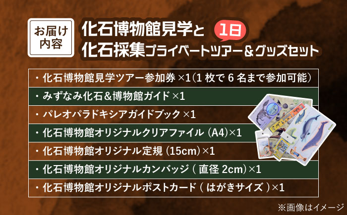 瑞浪市化石博物館 見学と化石採集プライベートツアー（一日）＆ グッズセット 瑞浪市 [AZCJ006]