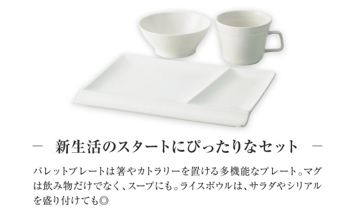 【美濃焼】　新生活のはじまりに miyama. スターターセット 3点 ホワイトマット 瑞浪市 / ミヤマプランニング 食器 プレート マグ ボウル [AZCM024] ホワイトマット
