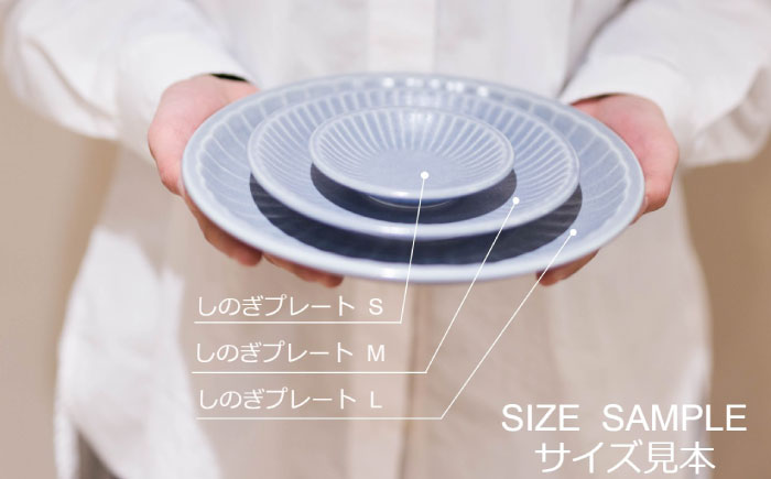 【美濃焼/みずなみ焼】 しのぎ プレートM 5色セット 瑞浪市 / 山喜製陶 食器 皿 くすみカラー [AZCP043]