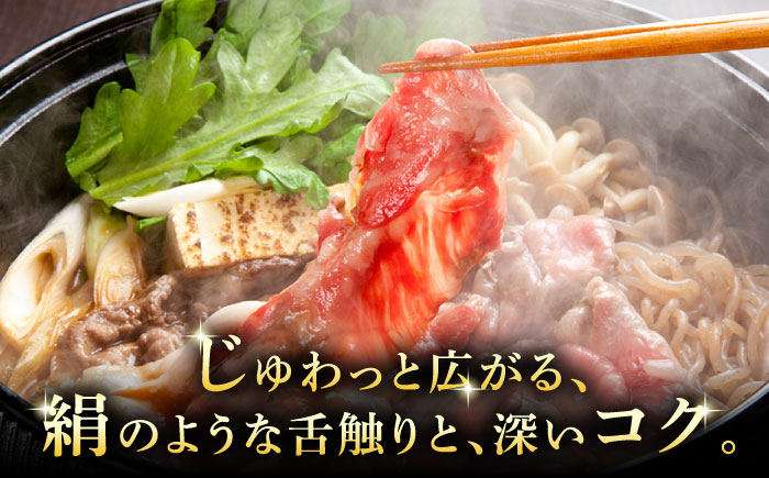 A5等級 飛騨牛 切り落とし 1kg (250g×4P) 瑞浪市 / マルチョウ渡辺精肉店 牛肉 和牛 国産 ギフト お取り寄せ [AZCW002]