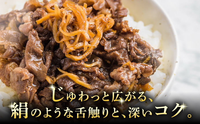【12/22までの決済で年内発送】A5等級 飛騨牛 こま切れ 500g (250g×2P) 瑞浪市 / マルチョウ渡辺精肉店 牛肉 和牛 国産 ギフト お取り寄せ [AZCW003]